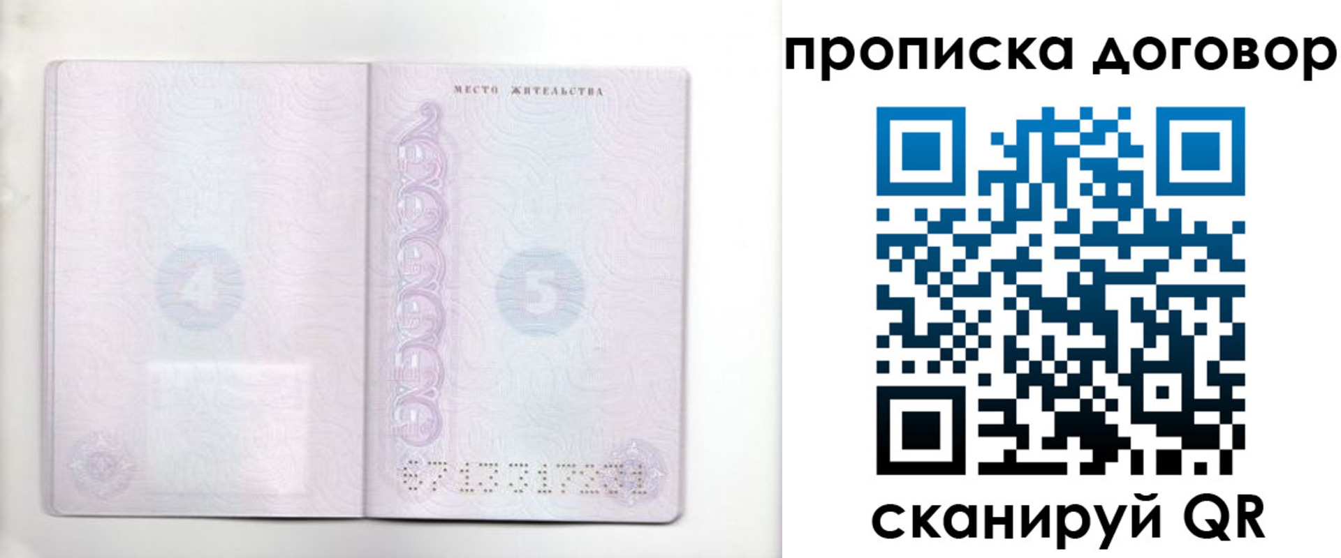 купить прописку в Бабаево